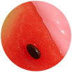 Watermelon Babygirl $24.00 USD